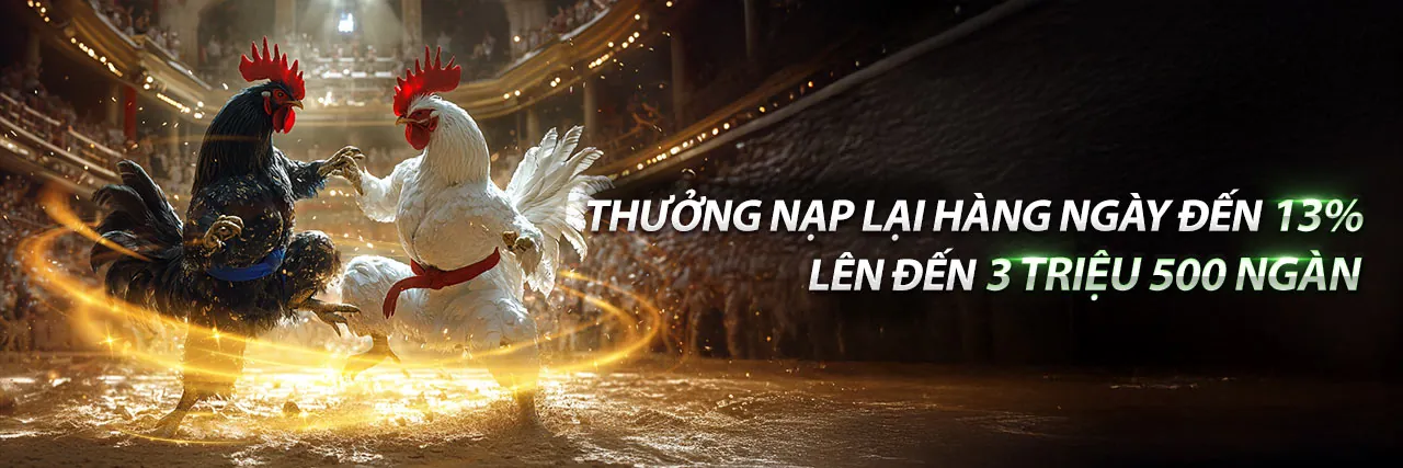 Khuyến mãi TP88 trang chủ chính thức với các ưu đãi độc quyền hấp dẫn