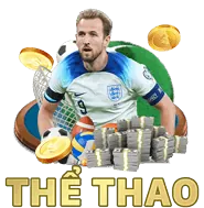 Hệ thống báo cáo tp88